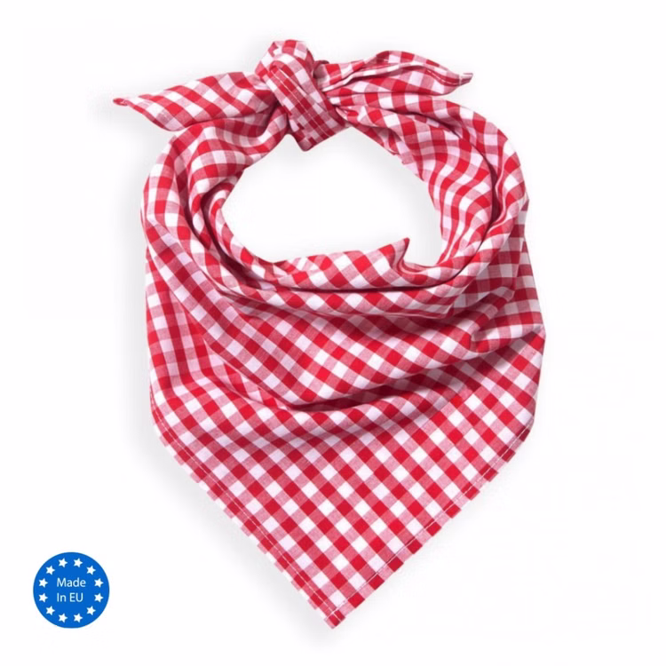 Halstuch blau-weiß kariert 105 x 45 cm Trachtentuch Oktoberfest Bavaria Kostüm-Zubehör Wiesn Wasn Fasching Karneval Mottoparty Accessoire Halstuch blau-weiß kariert 105 x 45 cm Trachtentuch Oktoberfest Bavaria Kostüm-Zubehör Wiesn Wasn Fasching Karneval Mottoparty Accessoire