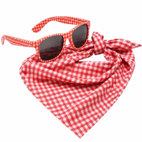 Zweiteiliges Kostüm-Set mit rot-weiß karierter Brille und passend gefaltetem Halstuch auf weißem Hintergrund. Kariertes Halstuch Brille Set rot weiß