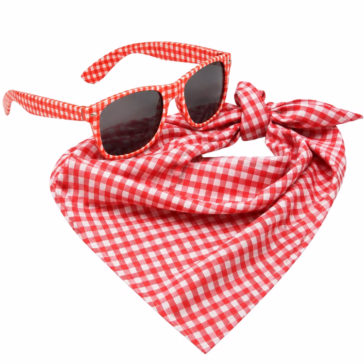 Zweiteiliges Kostüm-Set mit rot-weiß karierter Brille und passend gefaltetem Halstuch auf weißem Hintergrund. Kariertes Halstuch Brille Set rot weiß