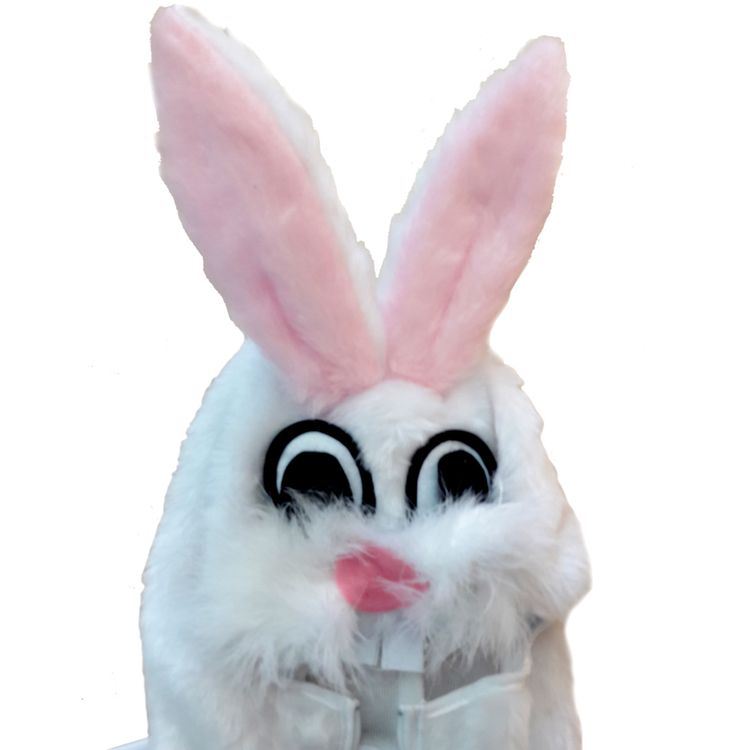 Hasen Kostüm für Kinder Kleid Gr. 104-140 weiß Tier Fasching Karneval Mottoparty Ostern Osterhase Mädchen