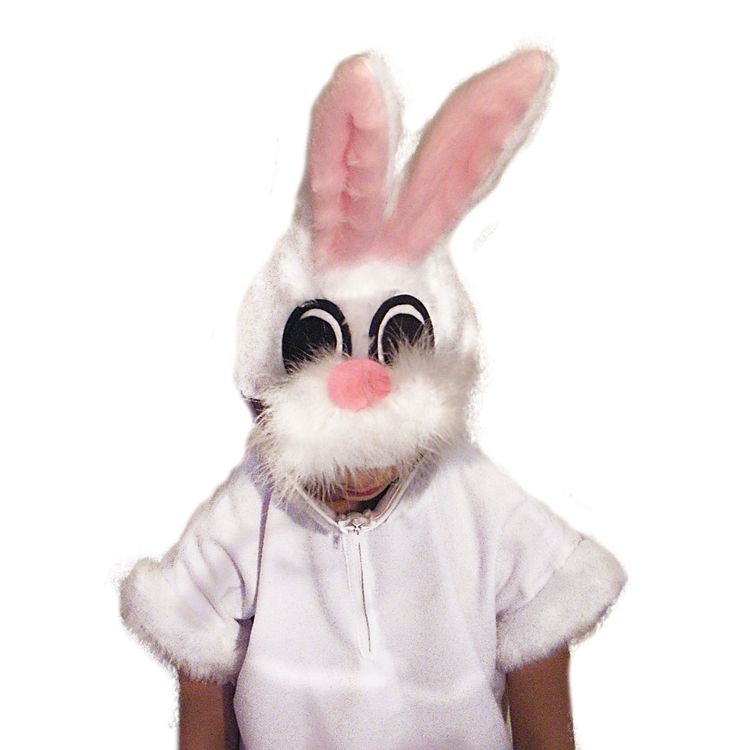 Hasen Kostüm für Kinder Kleid Gr. 104-140 weiß Tier Fasching Karneval Mottoparty Ostern Osterhase Mädchen