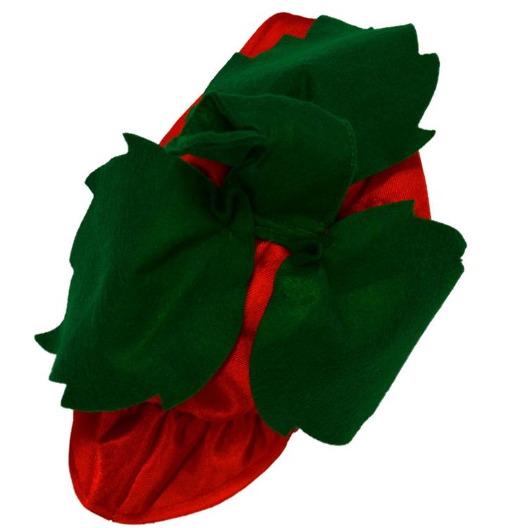 Apfel Kostüm Max mit Wurm für Erwachsene Apfel Kostüm Max mit Wurm für Erwachsene Einheitsgröße rot Früchte Garten Obst Fasching Karneval Mottoparty Paar- und Gruppenkostüm