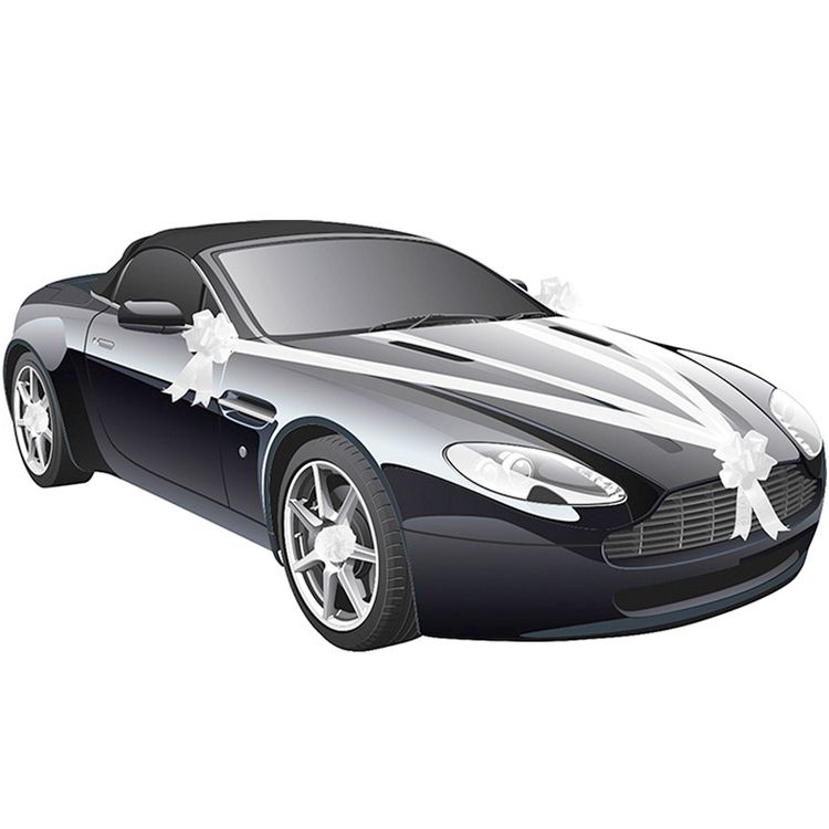 Chaffeur Set Hochzeitsfahrer 5-tlg. Schirm Autofahne Just Married Handschuhe Schirmmütze Chaffeur-Mütze Schleifenband Autoschleife Zubehör