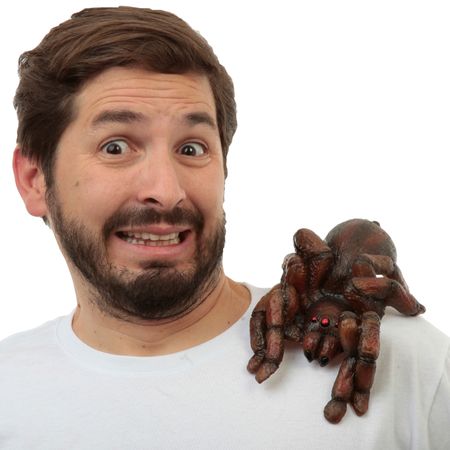 Spinne auf Schulter Partyspaß Kostüm-Zubehör für Erwachsene