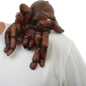 Spinne aus Latex sitzt auf der Schulter und ein Mann guckt erschrocken in die Kamera.