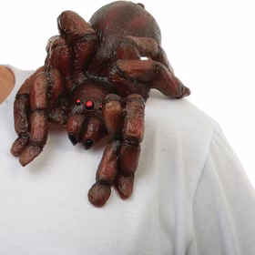 Detailaufnahme Schulter-Spinne seitlich von Vorne.
