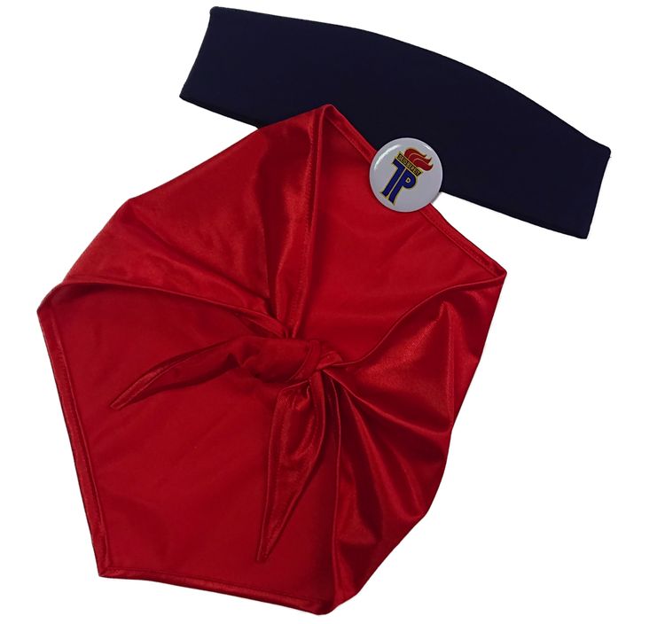 Unisex DDR Ostalgie Pionier Set 3-tlg. verschiedene Farben Halstuch Mütze Anstecker Jungpionier Fasching Karneval Mottoparty 