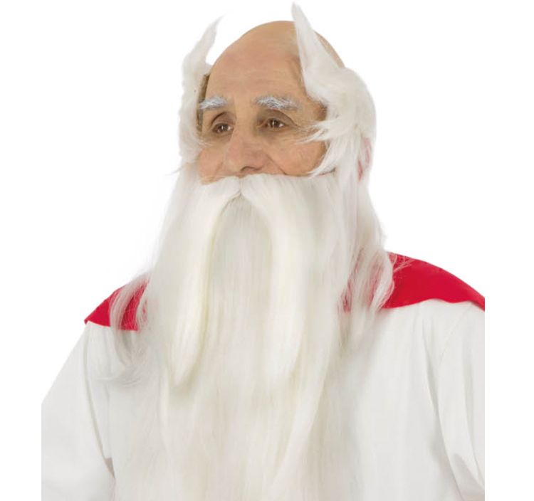 Miraculix deluxe Kostüm inkl. Perücke für Herren Gr. M-XL Asterix & Obelix Fasching Fasching Karneval Mottoparty Paarkostüm Gruppenkostüm