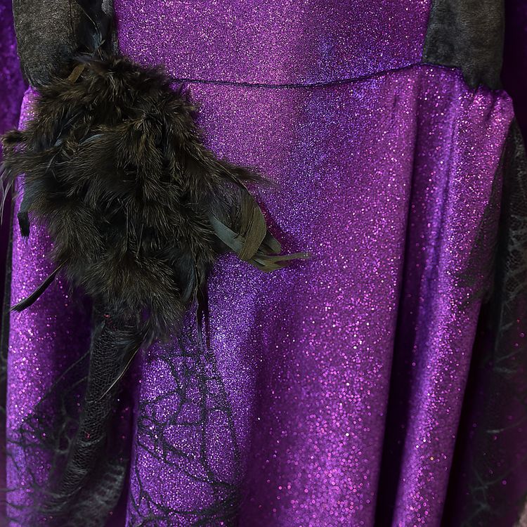 Hexen Kostüm Walpurga für Damen von Vorne