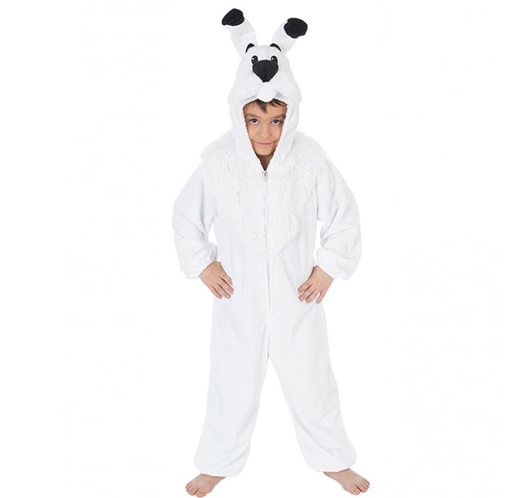 Idefix Kostüm aus Asterix und Obelix für Kinder Gr. 128-152 Hund Fasching Tierkostüm Karneval Mottoparty Kinderfasching Lizenzkostüm