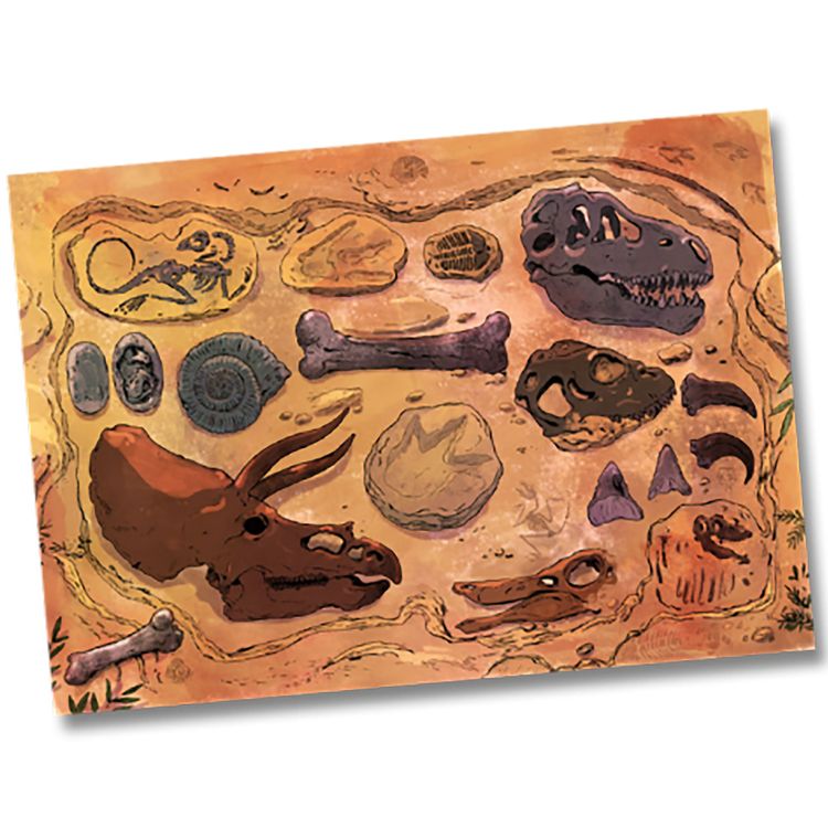 XXL Party-Set Kindergeburtstag T-Rex Dinosaurier für 6 Kinder 62 Teile Dino Mottoparty Geburtstag