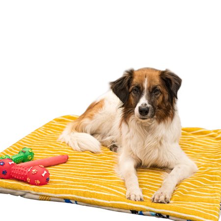 Tierdecke flauschig 78 x 78 cm mit Muster für Haustiere