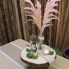 Baumscheiben-Set Holzscheiben 3 verschiedene Größen DIY Deko Zubehör Sommer-Party