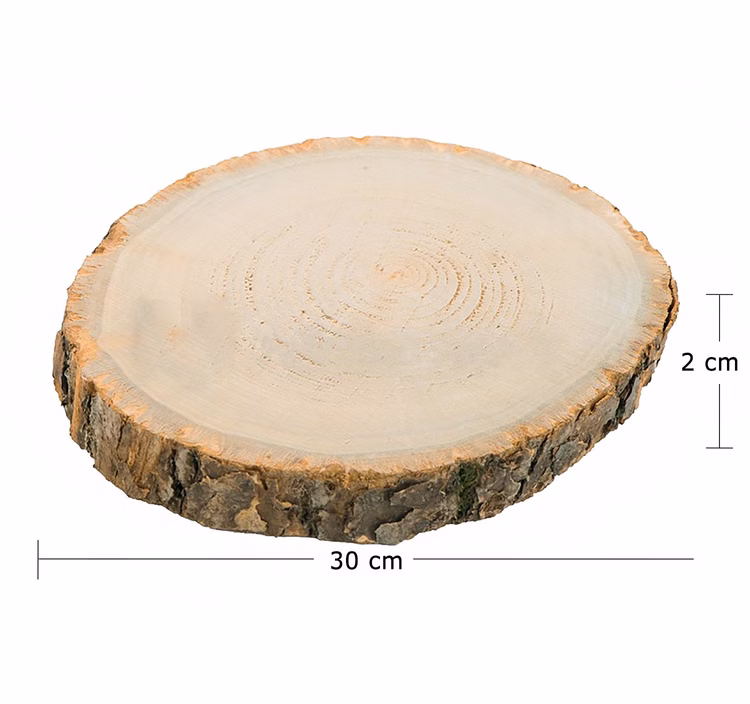 Baumscheiben-Set Holzscheiben 3 verschiedene Größen DIY Deko Zubehör Sommer-Party Baumscheiben-Set Holzscheiben 3 verschiedene Größen DIY Deko Zubehör Sommer-Party