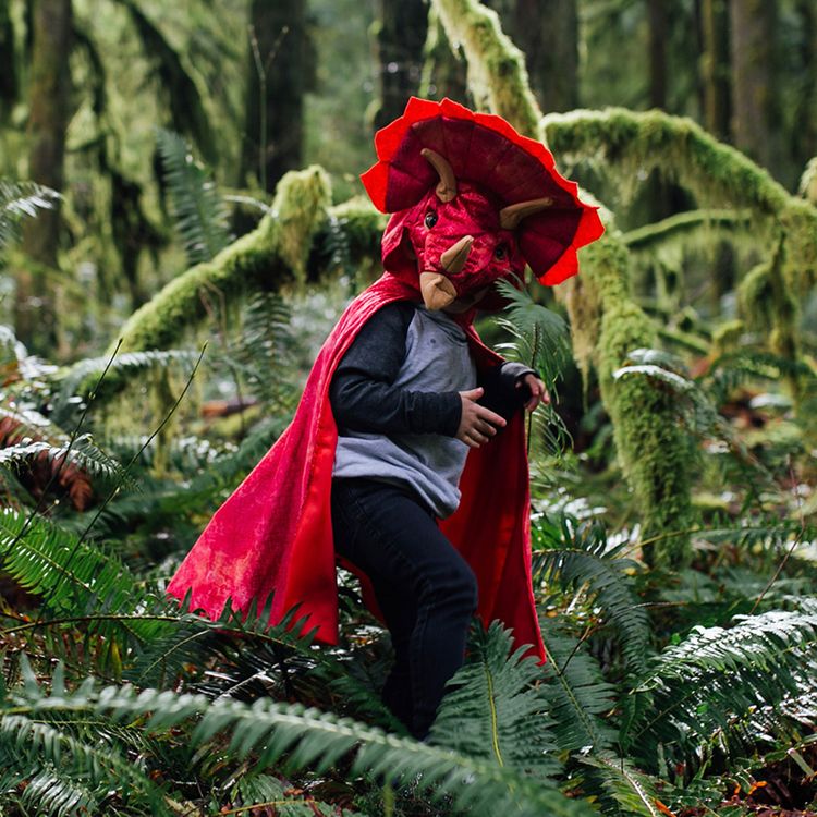 Triceratops Kostüm für Kinder Dino Saurier Umhang 4-6 Jahre rot Fasching Geburtstag Karneval Kinderfasching