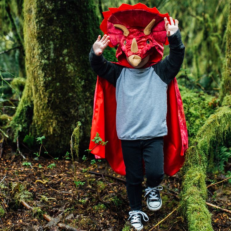 Triceratops Kostüm für Kinder Dino Saurier Umhang 4-6 Jahre rot Fasching Geburtstag Karneval Kinderfasching