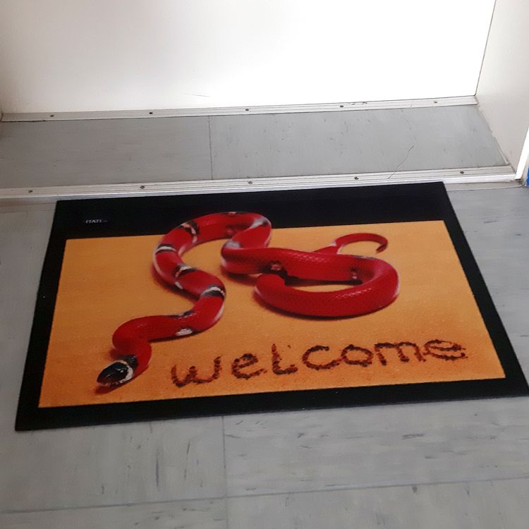 Witzige Fußmatte Schlange rote Königsnatter 3D-Motiv robustes Gummimaterial Witzige Fußmatte Schlange rote Königsnatter 3D-Motiv bunt 68x40x04 cm Haushalt & Wohnen Geschenkidee