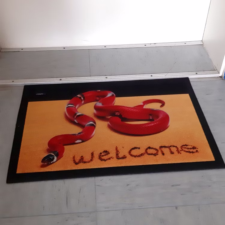 Witzige Fußmatte Schlange rote Königsnatter 3D-Motiv bunt 68x40x04 cm Haushalt & Wohnen Geschenkidee Witzige Fußmatte Schlange rote Königsnatter 3D-Motiv bunt 68x40x04 cm Haushalt & Wohnen Geschenkidee