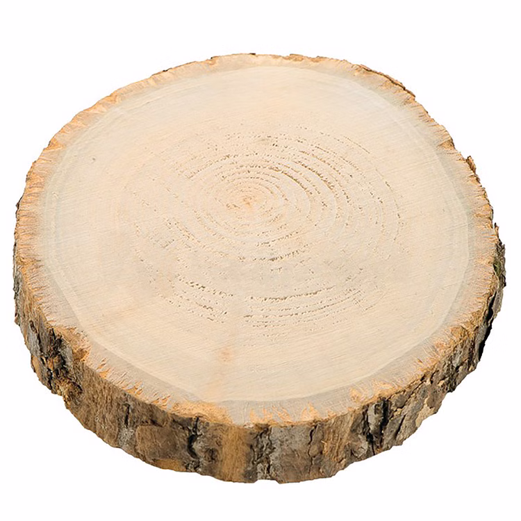 Holzscheibe Baumscheibe Deko Hochzeit 1 Stück 17 cm Tisch-Deko Geburtstag Basteln DIY Winter Weihnachtszeit Tischdekoration Holzscheibe Baumscheibe Deko Hochzeit 1 Stück 17 cm Tisch-Deko Geburtstag Basteln DIY Winter Weihnachtszeit Tischdekoration