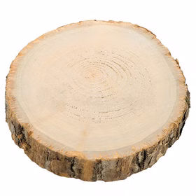 Holzscheibe Baumscheiben-Set Deko Hochzeit 8 Stück 17 cm Tisch-Deko DIY Basteln Geburtstag Advent Jahreszeiten Ostern Holzscheibe Holzstamm Dekoration Holzscheibe Baumscheiben-Set Deko Hochzeit 8 Stück 17 cm Tisch-Deko DIY Basteln Geburtstag Advent Jahreszeiten Ostern Holzscheibe Holzstamm Dekoration