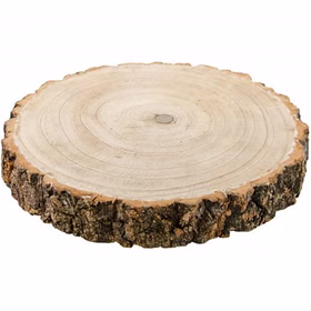Holzscheibe Baumscheiben-Set Deko Hochzeit 8 Stück 26 x 4 cm Tisch-Deko DIY Basteln Geburtstag Advent Jahreszeiten Ostern Holzscheibe Holzstamm Dekoration Holzscheibe Baumscheiben-Set Deko Hochzeit 8 Stück 26 x 4 cm Tisch-Deko DIY Basteln Geburtstag Advent Jahreszeiten Ostern Holzscheibe Holzstamm Dekoration