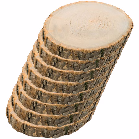 Holzscheibe Baumscheiben-Set Deko Hochzeit 8 Stück 30 x 2 cm Tisch-Deko DIY Basteln Geburtstag Advent Jahreszeiten Ostern Holzscheibe Holzstamm Dekoration Holzscheibe Baumscheiben-Set Deko Hochzeit 8 Stück 30 x 2 cm Tisch-Deko DIY Basteln Geburtstag Advent Jahreszeiten Ostern Holzscheibe Holzstamm Dekoration