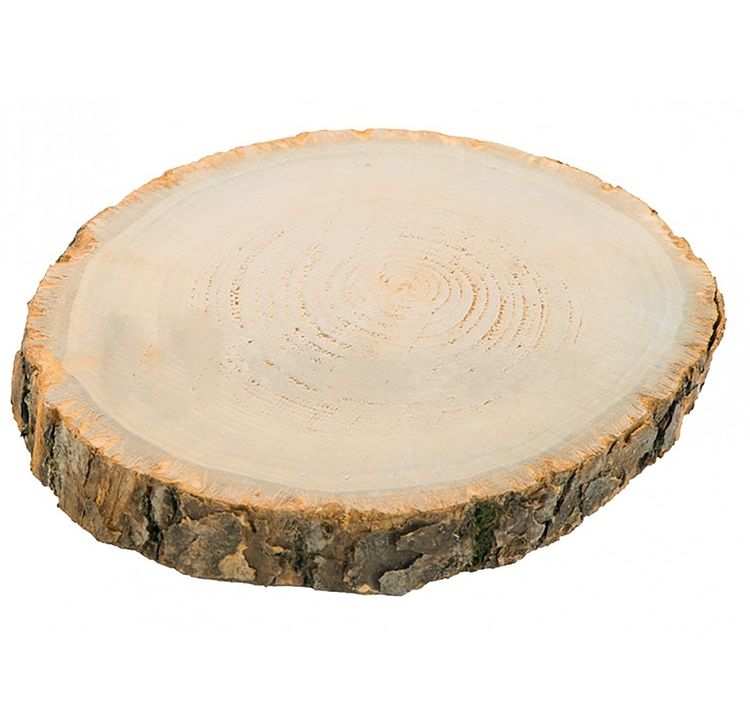 Holzscheibe Baumscheiben-Set Deko Hochzeit 8 Stück 30 x 2 cm Tisch-Deko  DIY Basteln Geburtstag Advent Jahreszeiten Ostern Holzscheibe Holzstamm Dekoration