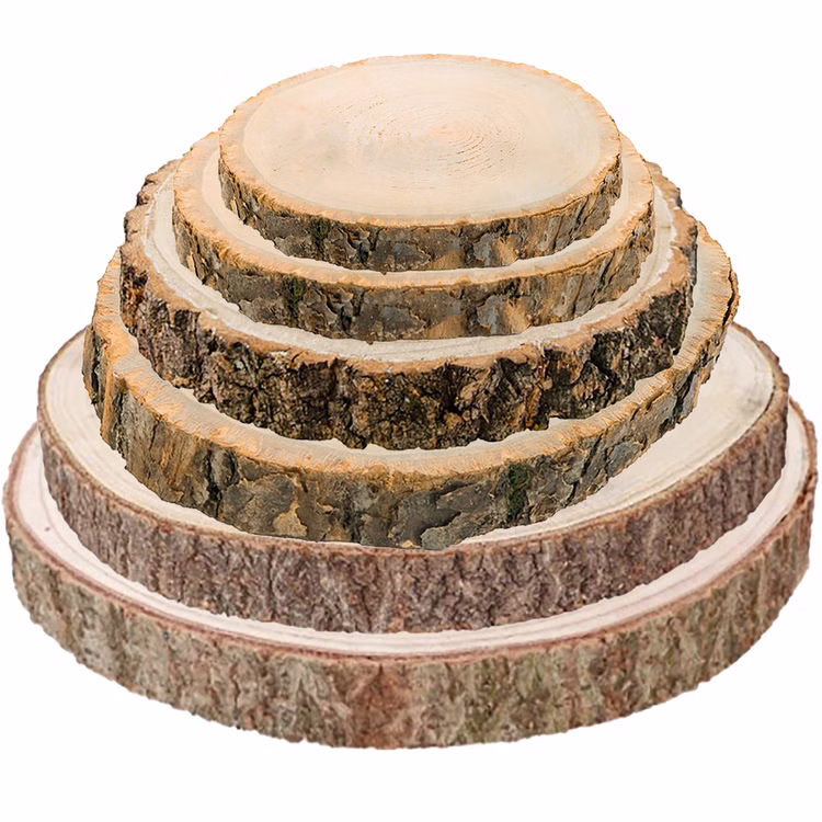 Baumscheiben-Set Holzscheiben 6 Stück 17-38 cm Deko Tisch-Deko DIY Basteln Geburtstag Advent Jahreszeiten Ostern Holzscheibe Holzstamm Dekoration Baumscheiben-Set Holzscheiben 6 Stück 17-38 cm Deko Tisch-Deko DIY Basteln Geburtstag Advent Jahreszeiten Ostern Holzscheibe Holzstamm Dekoration