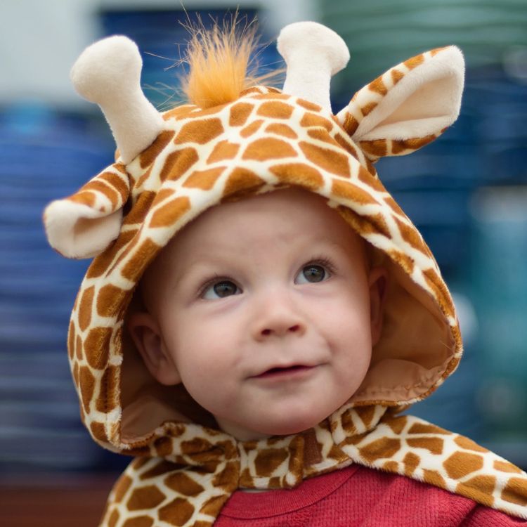 Giraffen Kostüm Gustav für Kinder Giraffen Kostüm Gustav für Kinder 2-3 Jahre braun Tier Tierkostüm Umhang Fasching Karneval Mottoparty andere Länder Afrika Kinderfasching