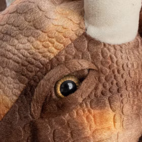 Nahaufnahme Triceratops Kostüm Dino Saurier Grandasaurus für Kinder Augenbereich