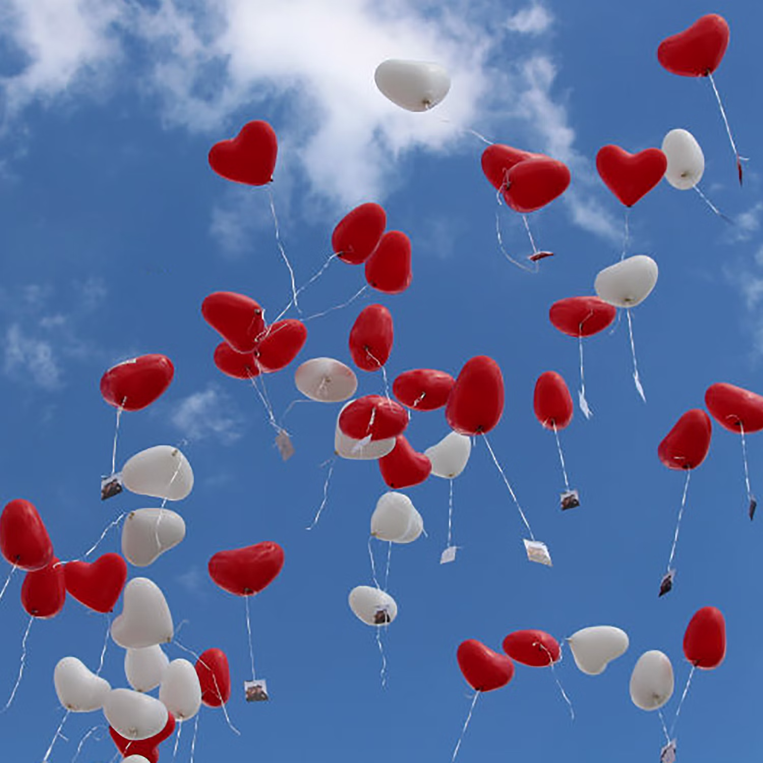 Rote & Weiße Herz Luftballons XXL 40 Stück Ø 40,6 cm Party-Deko Hochzeit Verlobung Muttertag Liebeserklärung Wedding Hochzeits-Deko Ballons zur Trauung fliegen lassen Ballonflugkarten zur Hochzeit