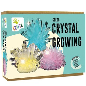 Kristalle züchten Experimentierkasten für Kinder farbenfrohe Experimente fürs Kinderzimmer Geschenkidee Science Wissenschaft verstehen lernen 