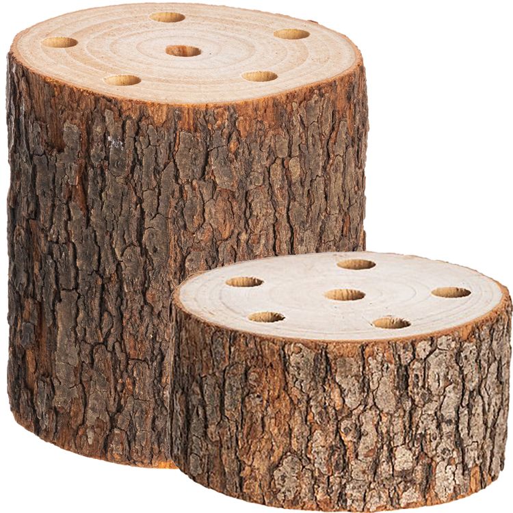 Baumstamm Kampferholz Holzstamm mit vorgebohrten Löchern 10 x 10 cm Deko DIY Basteln mit Kindern Weihnachts-Deko Osterbasteln Herbst Basteln in Jahreszeiten Hochzeit Geburtstag