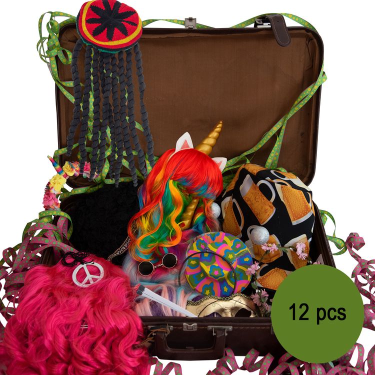 Übersicht über die Einzelteile in einem braunen Koffer mit dem Hinweis, dass es insgesamt 12 Accessoires sind.