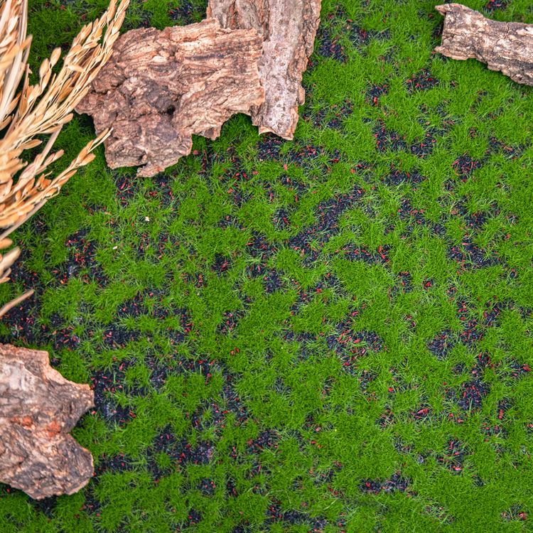 Tischläufer Moos-Optik 25 cm x 1 m Gras Wald Tisch-Deko DIY-Basteln Tischläufer Moos-Optik 25 cm x 1 m Gras Wald Waldmoos Tisch-Deko DIY-Basteln Modellbau Osterbasteln Osternest Dekoration Hochzeit Geburtstag