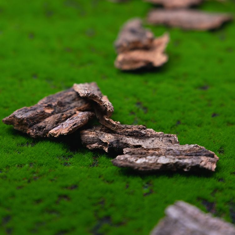 Tischläufer Moos-Optik 25 cm x 1 m Gras Wald Tisch-Deko DIY-Basteln Tischläufer Moos-Optik 25 cm x 1 m Gras Wald Waldmoos Tisch-Deko DIY-Basteln Modellbau Osterbasteln Osternest Dekoration Hochzeit Geburtstag