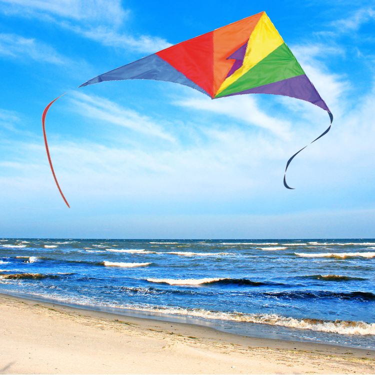 Drache Einleiner bunt Delta Mini ab 3 Jahre 2 mm Fiberglas 50 x 25 cm Flugdrache Herbst Drachen steigen Ostsee Nordsee