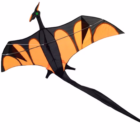 Drache Einleiner Drache Aero mit XXL Schwanz ab 6 Jahre 4 mm Fiberglas 170 x 90 cm Herbst Drachen steigen Ostsee Nordsee Drache Einleiner Drache Aero mit XXL Schwanz ab 6 Jahre 4 mm Fiberglas 170 x 90 cm Herbst Drachen steigen Ostsee Nordsee