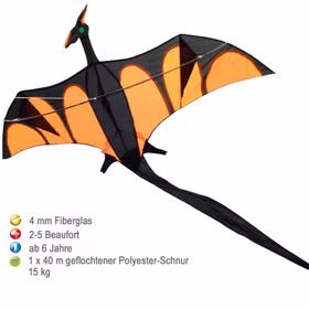 Drache Einleiner Drache Aero mit XXL Schwanz ab 6 Jahre 4 mm Fiberglas 170 x 90 cm Herbst Drachen steigen Ostsee Nordsee