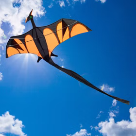 Drache Einleiner Drache Aero mit XXL Schwanz ab 6 Jahre 4 mm Fiberglas 170 x 90 cm Herbst Drachen steigen Ostsee Nordsee