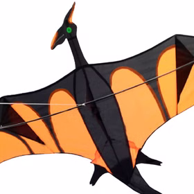 Drache Einleiner Drache Aero mit XXL Schwanz ab 6 Jahre 4 mm Fiberglas 170 x 90 cm Herbst Drachen steigen Ostsee Nordsee
