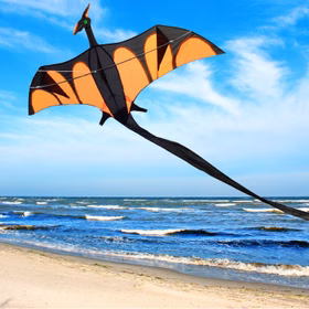 Drache Einleiner Drache Aero mit XXL Schwanz ab 6 Jahre 4 mm Fiberglas 170 x 90 cm Herbst Drachen steigen Ostsee Nordsee