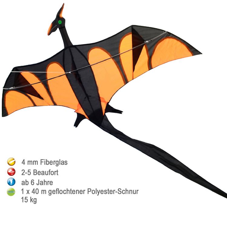Drache Einleiner Aero mit XXL Schwanz 4mm Fiberglas 170x90cm Drache Einleiner Drache Aero mit XXL Schwanz ab 6 Jahre 4 mm Fiberglas 170 x 90 cm Herbst Drachen steigen Ostsee Nordsee