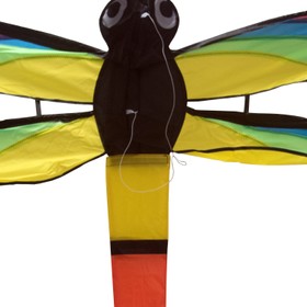 Drache Einleiner Libelle 3D ab 6 Jahre 4 mm Fiberglas 110 x 144 cm Flugdrache Herbst Drachen steigen Ostsee Nordsee