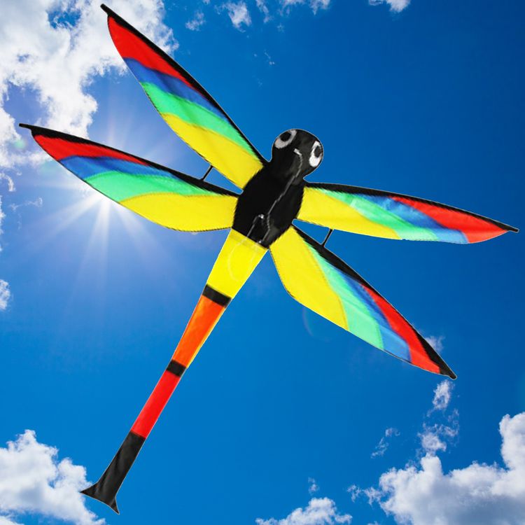 Drache Einleiner Lilly Libelle 3D 4mm Fiberglas 110x144 cm Flugdrache Drache Einleiner Libelle 3D ab 6 Jahre 4 mm Fiberglas 110 x 144 cm Flugdrache Herbst Drachen steigen Ostsee Nordsee