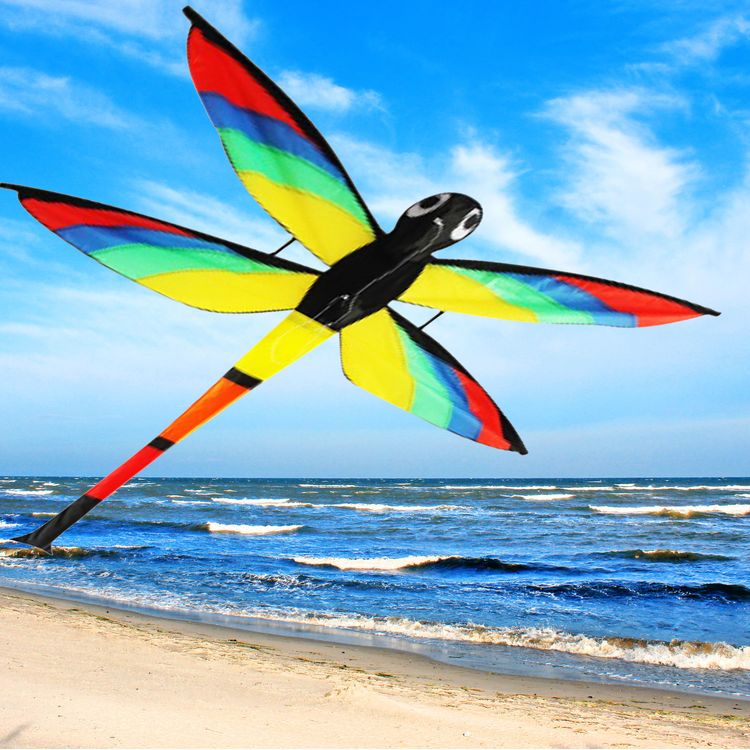 Drache Einleiner Lilly Libelle 3D 4mm Fiberglas 110x144 cm Flugdrache Drache Einleiner Libelle 3D ab 6 Jahre 4 mm Fiberglas 110 x 144 cm Flugdrache Herbst Drachen steigen Ostsee Nordsee