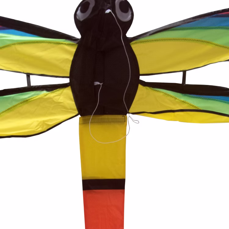 Drache Einleiner Libelle 3D ab 6 Jahre 4 mm Fiberglas 110 x 144 cm Flugdrache Herbst Drachen steigen Ostsee Nordsee Drache Einleiner Libelle 3D ab 6 Jahre 4 mm Fiberglas 110 x 144 cm Flugdrache Herbst Drachen steigen Ostsee Nordsee