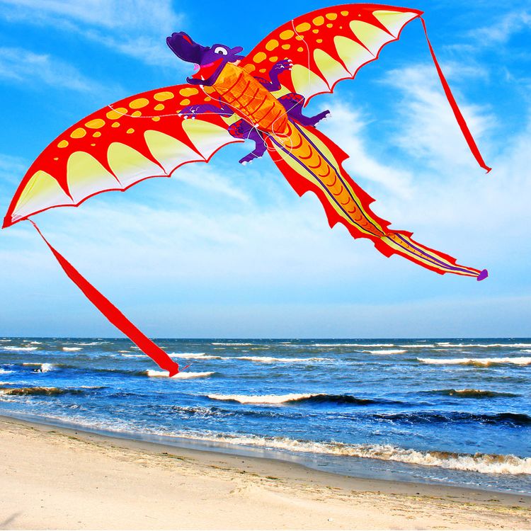 Drache Einleiner Phoenix ab 6 Jahre 4mm Fiberglas 191x102cm Flugdrache Drache Einleiner Drache Phoenix ab 6 Jahre 4 mm Fiberglas 191 x 102 cm Flugdrache Herbst Drachen steigen Ostsee Nordsee