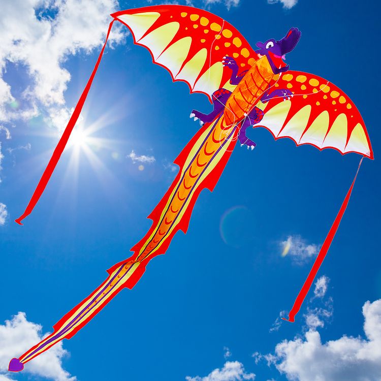 Drache Einleiner Phoenix ab 6 Jahre 4mm Fiberglas 191x102cm Flugdrache Drache Einleiner Drache Phoenix ab 6 Jahre 4 mm Fiberglas 191 x 102 cm Flugdrache Herbst Drachen steigen Ostsee Nordsee