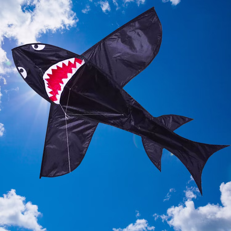 Drache Einleiner Hai Shark 3D ab 6 Jahre 4 mm Fiberglas 132 x 147 cm Flugdrache Herbst Drachen steigen Ostsee Nordsee Drache Einleiner Hai Shark 3D ab 6 Jahre 4 mm Fiberglas 132 x 147 cm Flugdrache Herbst Drachen steigen Ostsee Nordsee